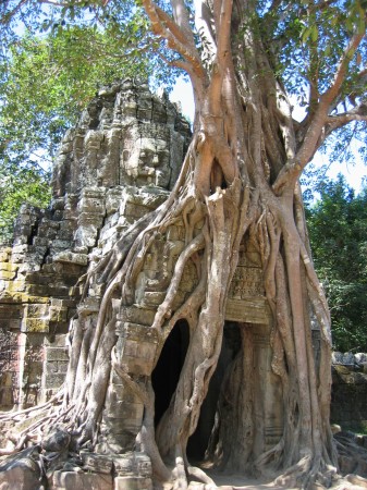 Temple du Ta Prohm