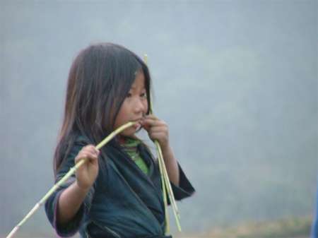 Petit Hmong